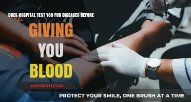 Hospital Blood Transfusion Safety: Do They Test for Diseases First?