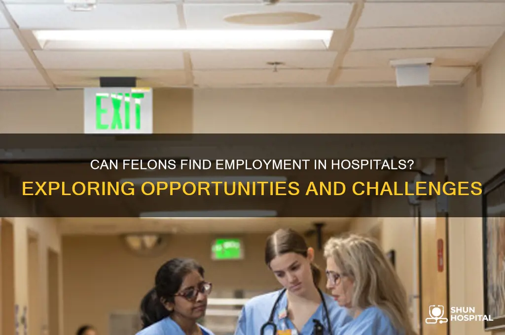 does hospitals hire felons