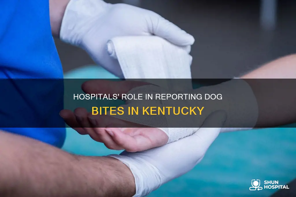 does hospitals report dog bites in kentucky