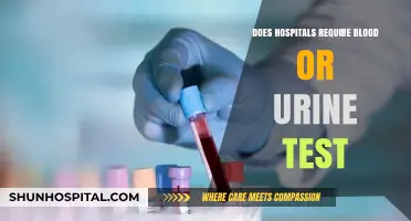 Blood and Urine Tests: Hospital Requirements Explained