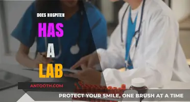 Does Hospiten Offer Laboratory Services? Exploring Available Medical Facilities
