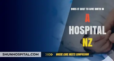 Hospital Birth Costs in New Zealand: What to Expect Financially