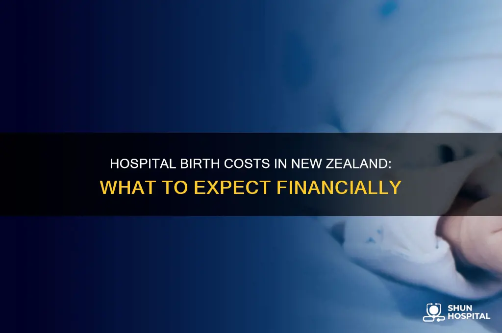 does it cost to give birth in a hospital nz