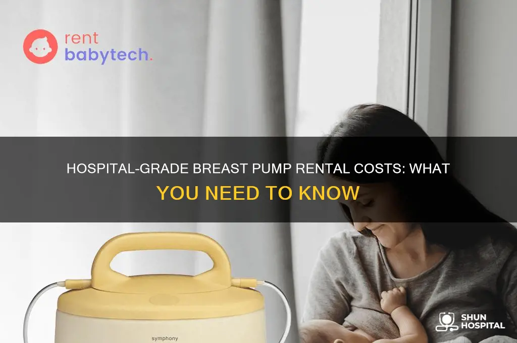 does it cost to rent a hospital-grade pump