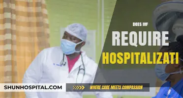 IVF Procedure Explained: Hospitalization Requirements and What to Expect