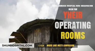 Jamaica Hospital's Operating Room Observation Deck: Fact or Fiction?