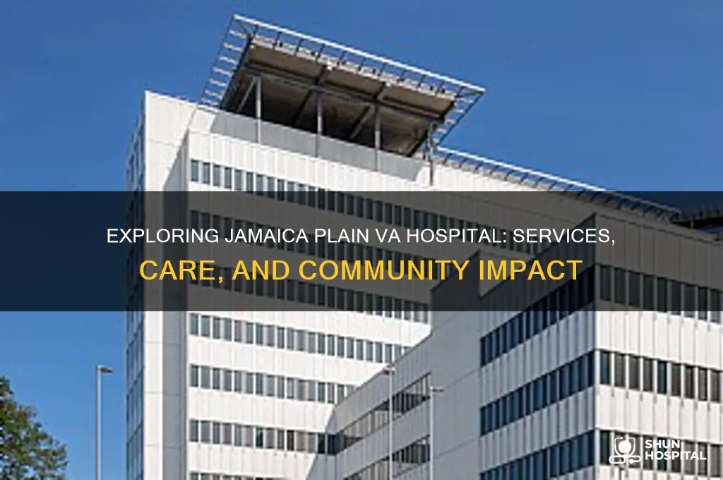 does jamicaplain va hospital