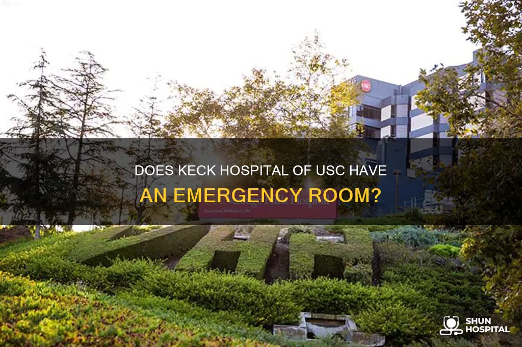 does keck hospital of usc have an emergency room