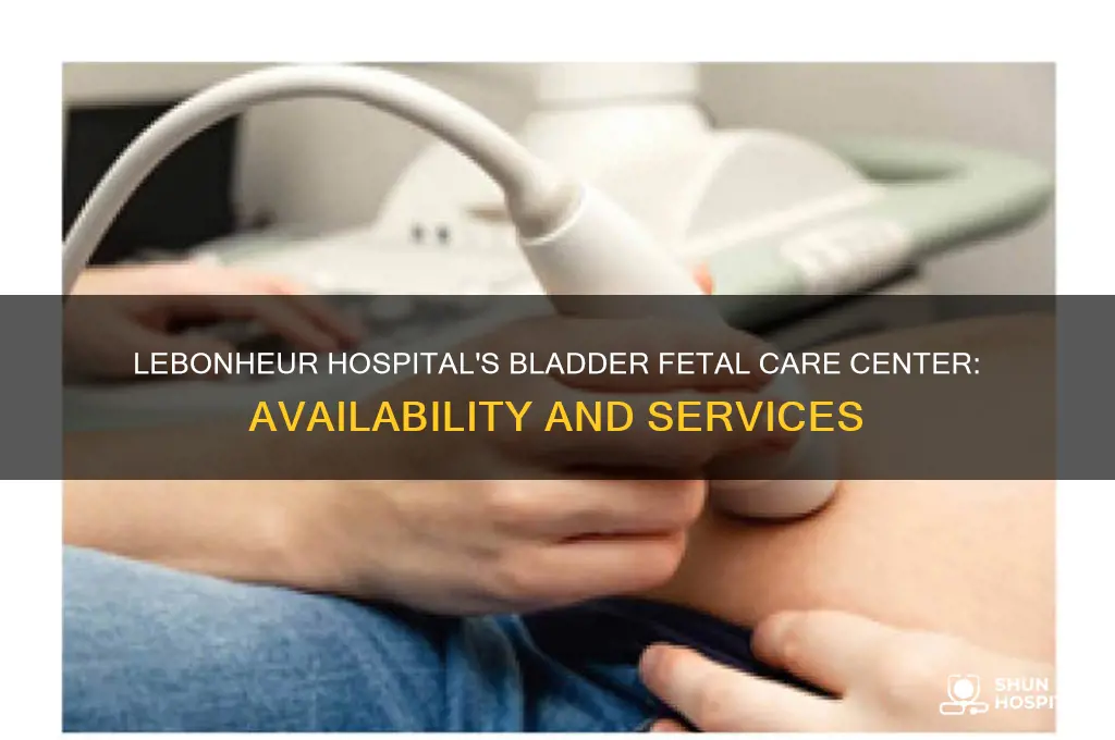 does lebonheur hospital have a bladder fetal care center