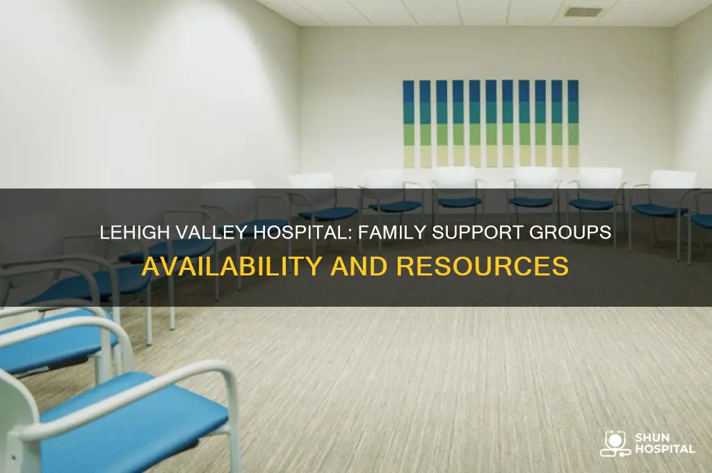 does lehigh valley hospital have support groups for family