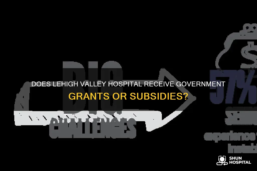 does lehigh valley hospital receive goverment grants and or subsidies