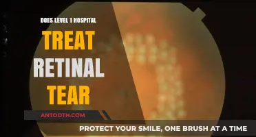 Retinal Tear Treatment: Level 1 Hospital Options