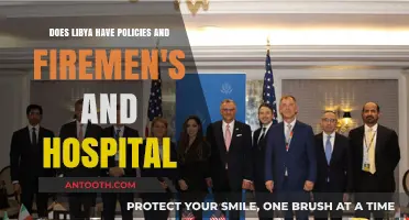 Libya's Emergency Services: Policies, Firefighters, and Healthcare Infrastructure Explored