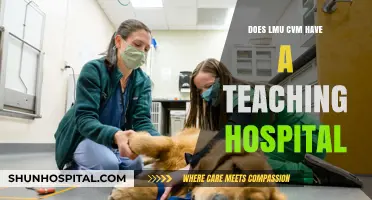LMU CVM: Teaching Hospital Status and Benefits