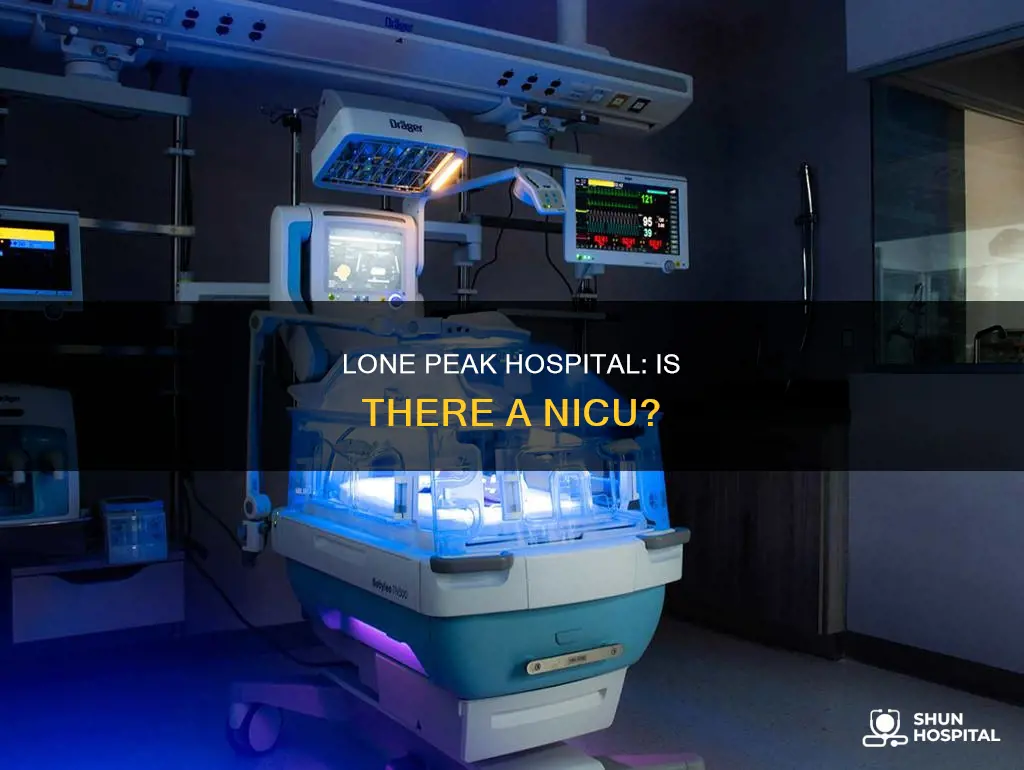 does lone peak hospital have a nicu