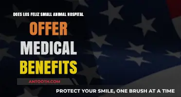 Los Feliz Small Animal Hospital: Medical Benefits and Services Explained