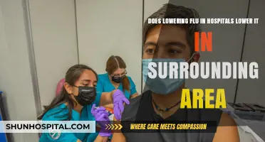 Reducing Hospital Flu Cases: Impact on Community Spread Explored