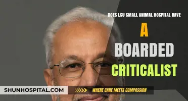LSU Small Animal Hospital: Boarded Criticalist Availability Explained