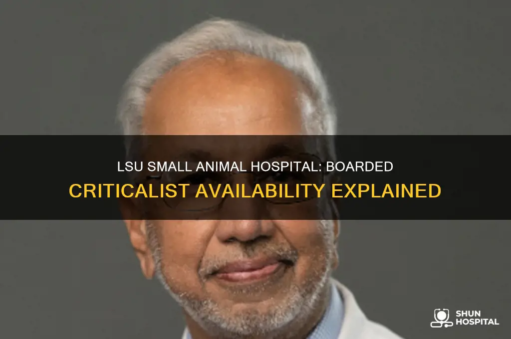 does lsu small animal hospital have a boarded criticalist