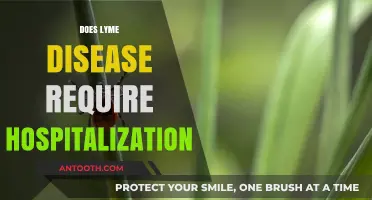 Lyme Disease Hospitalization: When Is It Necessary and What to Expect