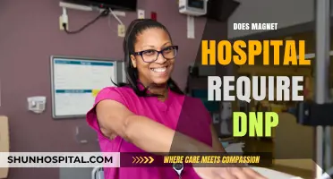 Do Magnet Hospitals Require DNP? Exploring Nursing Credentials for Excellence