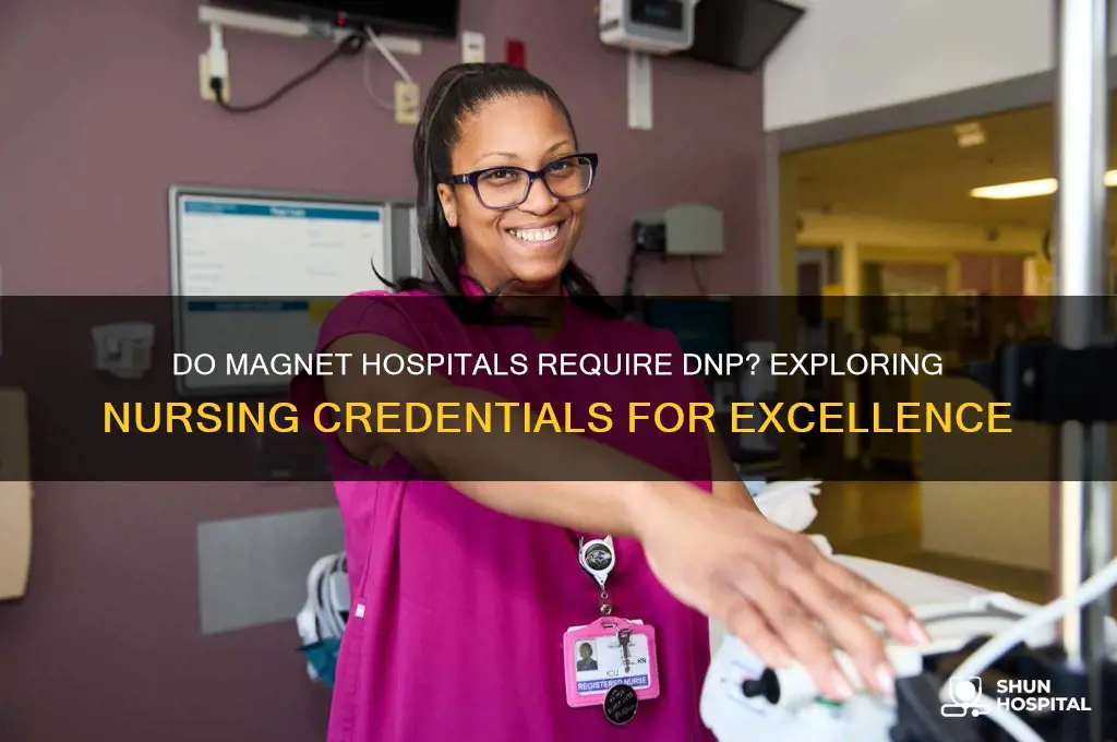 does magnet hospital require dnp