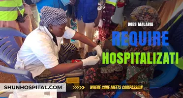Malaria Hospitalization: When and Why It's Necessary for Patients