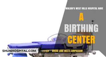 Does Malibu's West Hills Hospital Offer a Birthing Center?