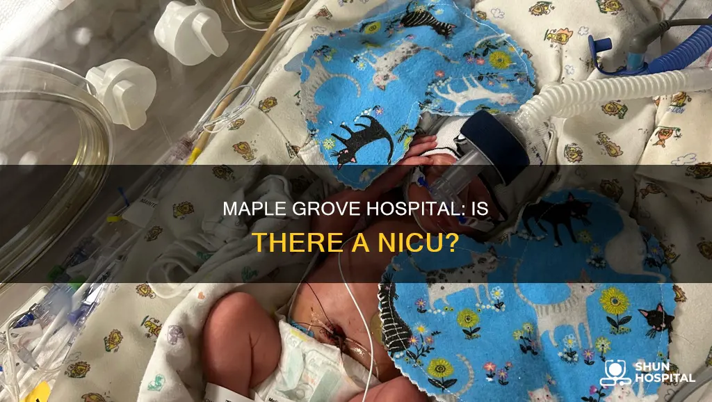 does maple grove hospital have a nicu