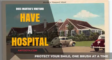 Martha's Vineyard Hospital: What You Need to Know