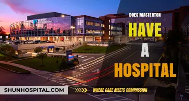 Masterton's Healthcare Facilities: Exploring the Presence of a Hospital