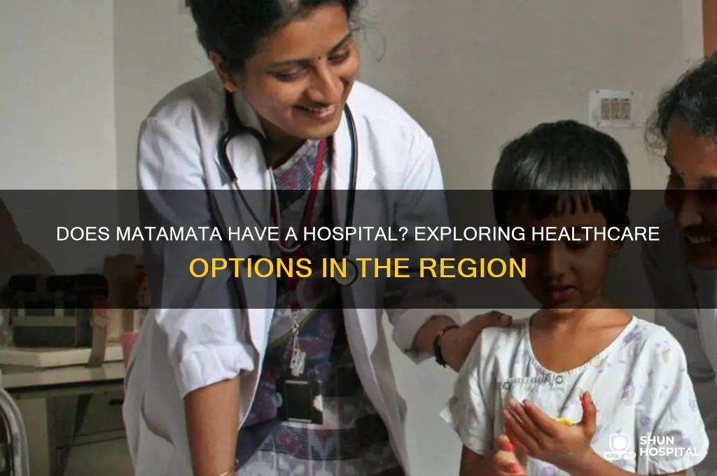 does matamata have a hospital