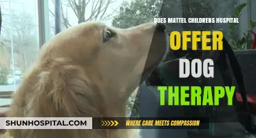 Mattel Children's Hospital: Canine Therapy for Kids