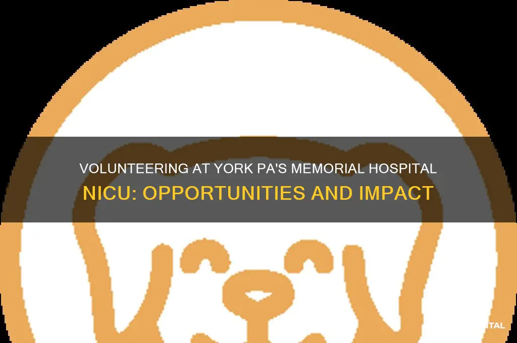 does memorial hospital in york pa have volunteers for nicu