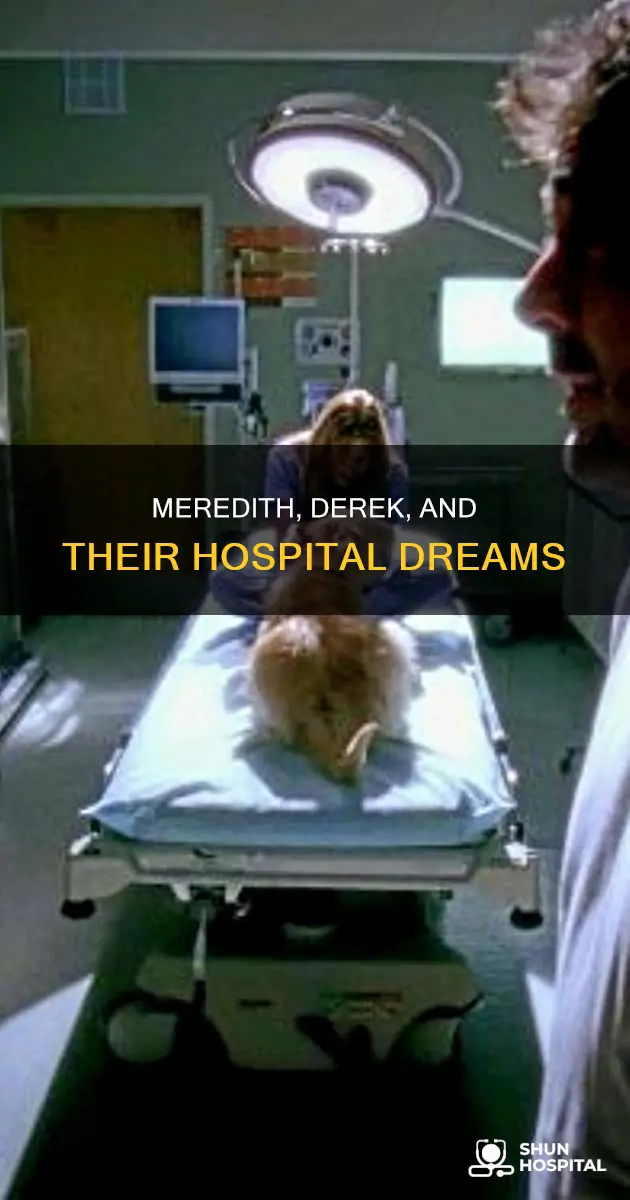 does meredith and derek buy the hospital