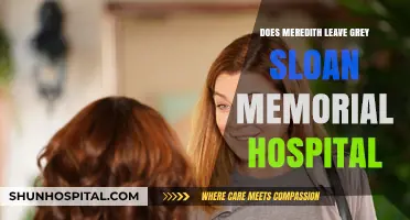 Meredith Grey's Fate: Leaving Grey Sloan Memorial Hospital?
