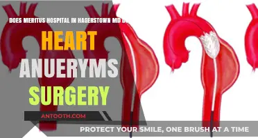 Does Meritus Hospital in Hagerstown, MD Perform Heart Aneurysm Surgery?