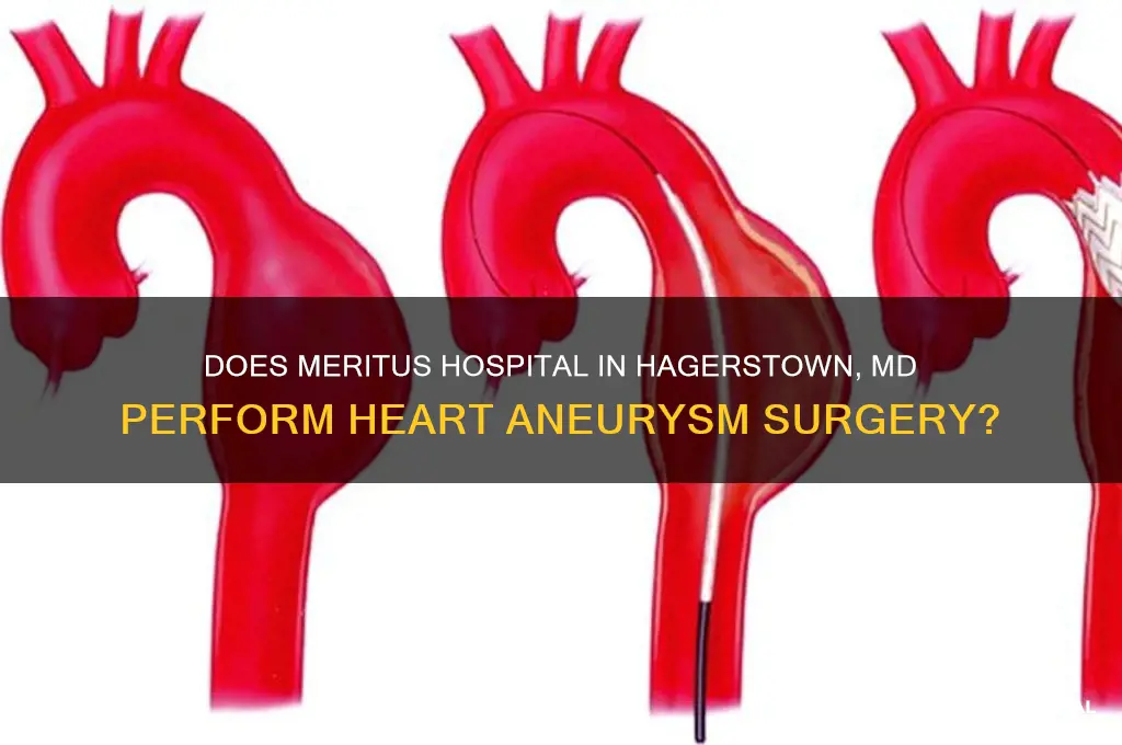 does meritus hospital in hagerstown md do heart anueryms surgery