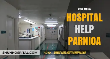 Can Metal Hospitals Effectively Treat Paranoia? Exploring the Evidence