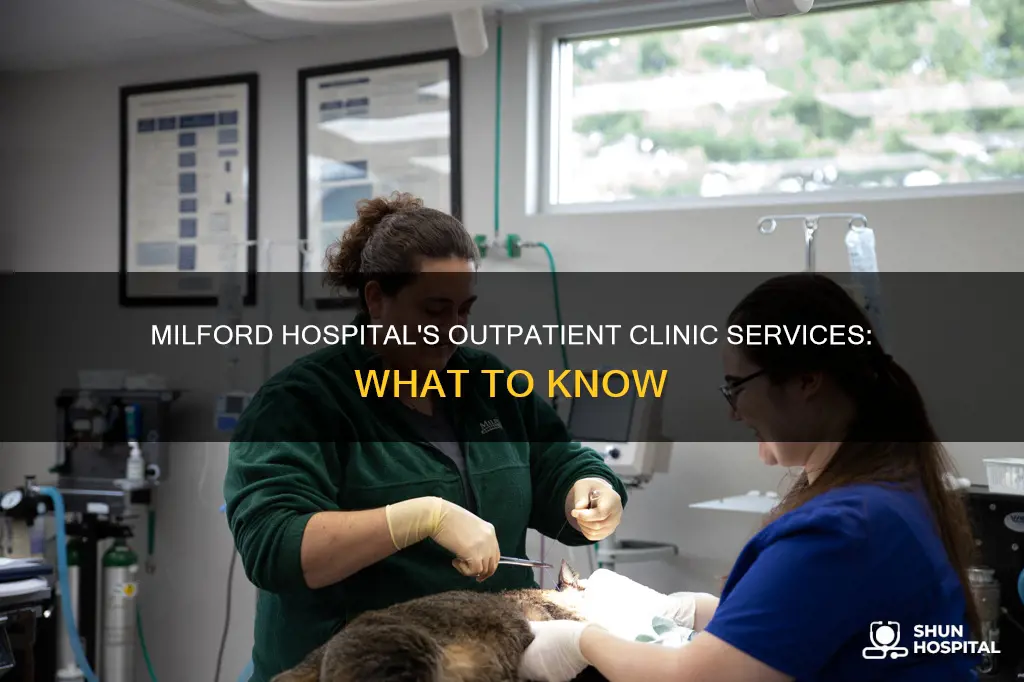 does milford ma hospital have a clinic