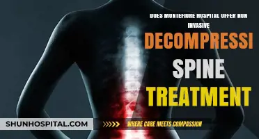Montefiore Hospital's Non-Invasive Decompression Spine Treatment Options Explored