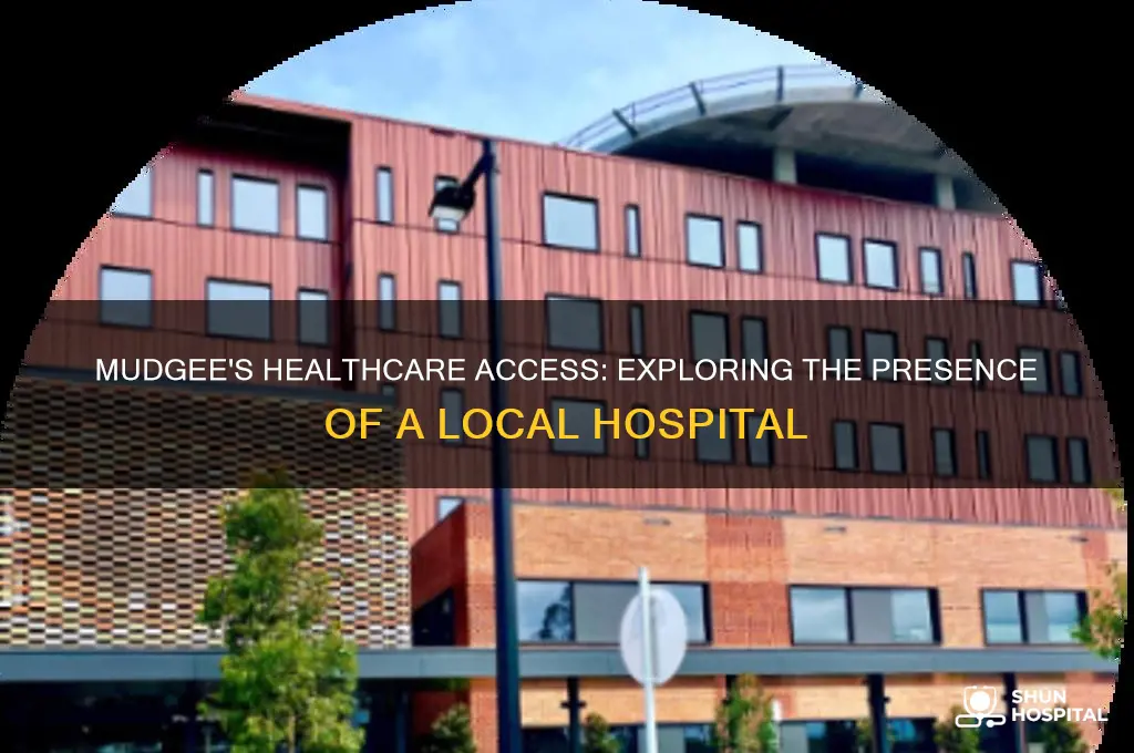 does mudgee have a hospital