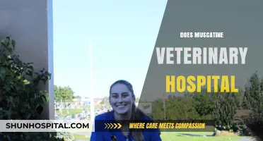 Does Muscatine Veterinary Hospital Offer Quality Pet Care Services?
