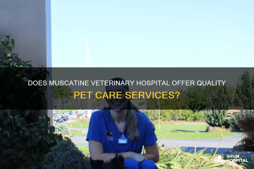 does muscatine veterinary hospital