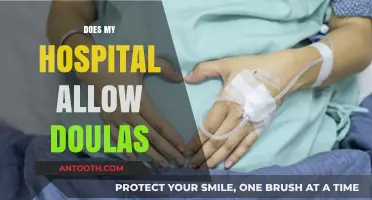 Hospital Doula Policies: Understanding Your Birth Support Options