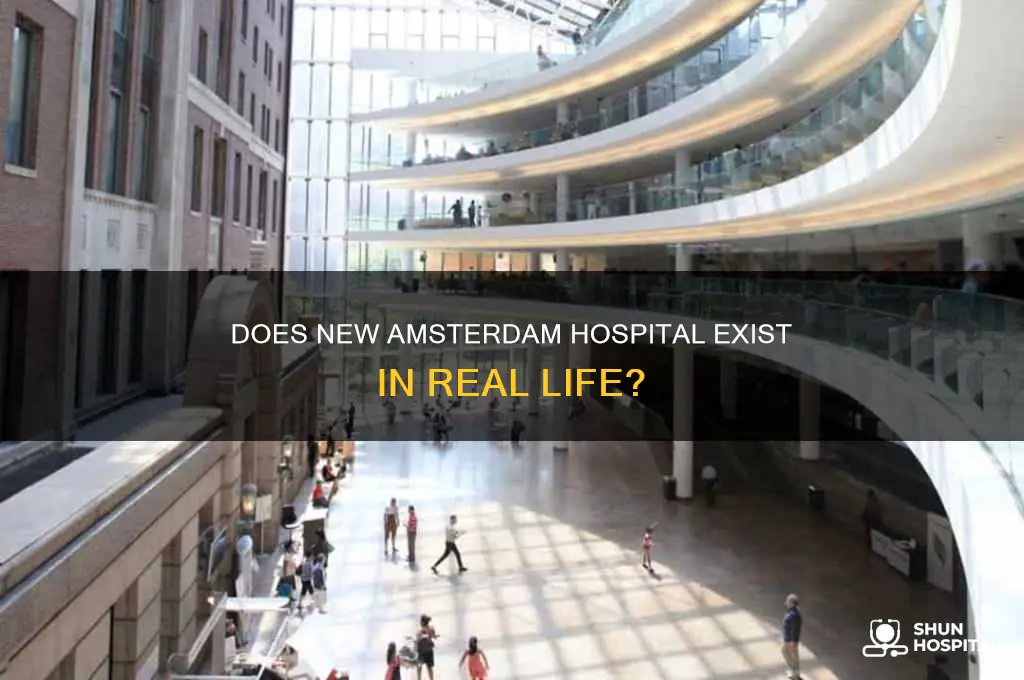 does new amsterdam hospital exist