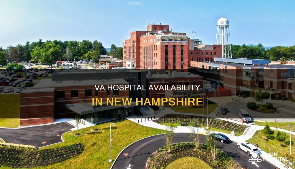 does new hampshire have a va hospital