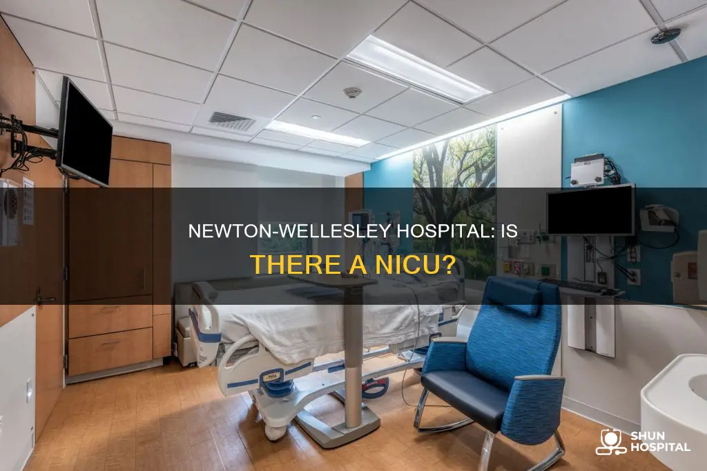 does newton wellesley hospital have a nicu