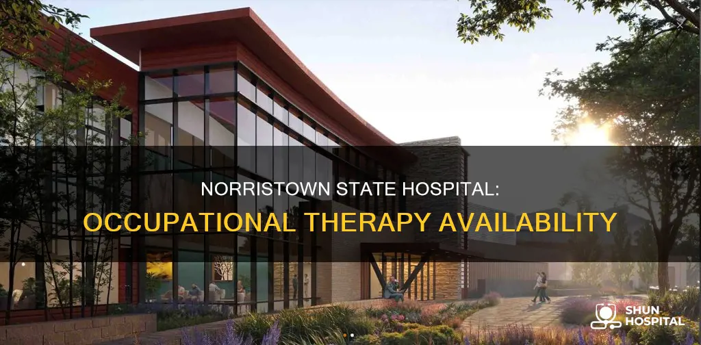 does norristown state hospital have occupational therapy