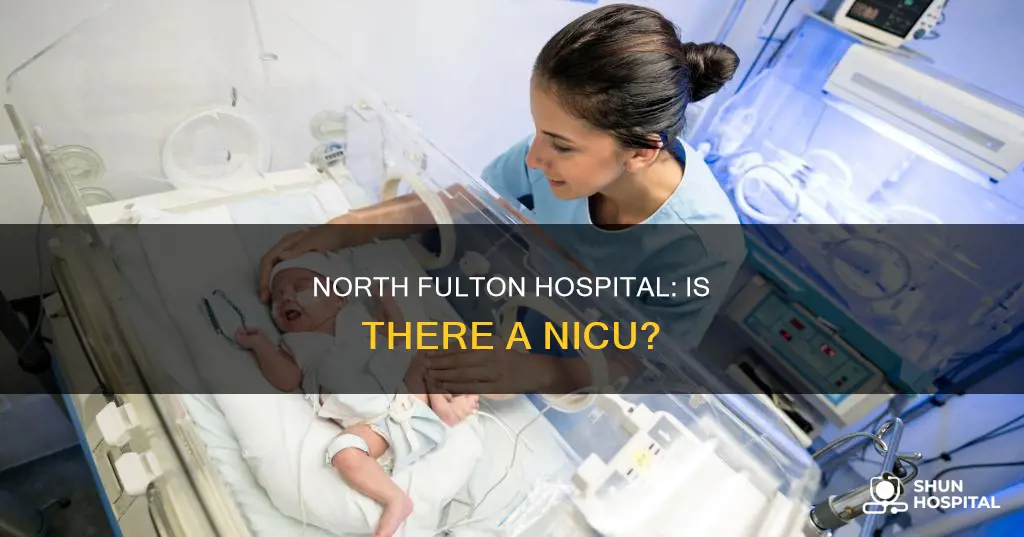 does north fulton hospital have a nicu